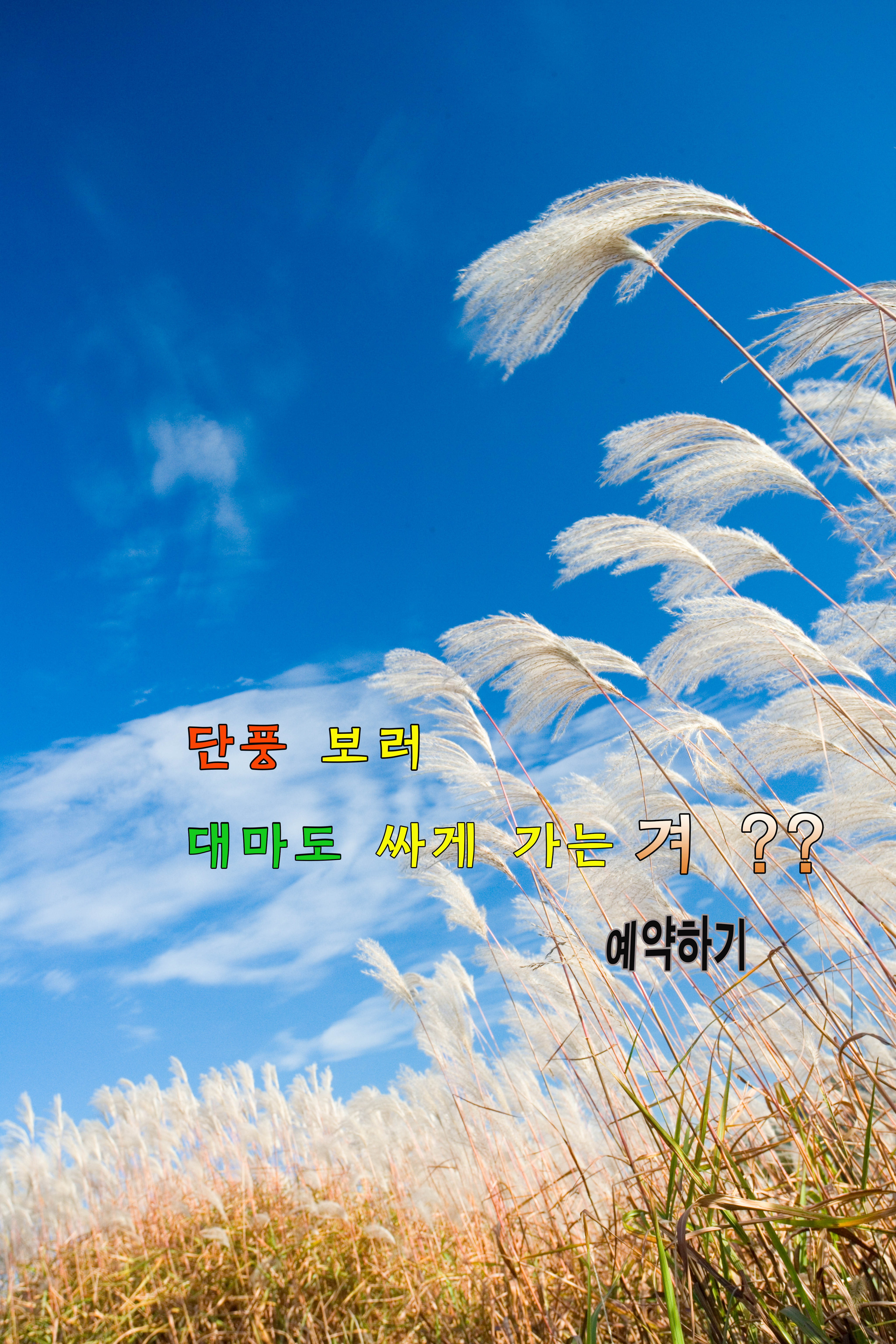 10월 이벤트요금