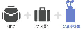 배낭+골프백1개+유료수하물